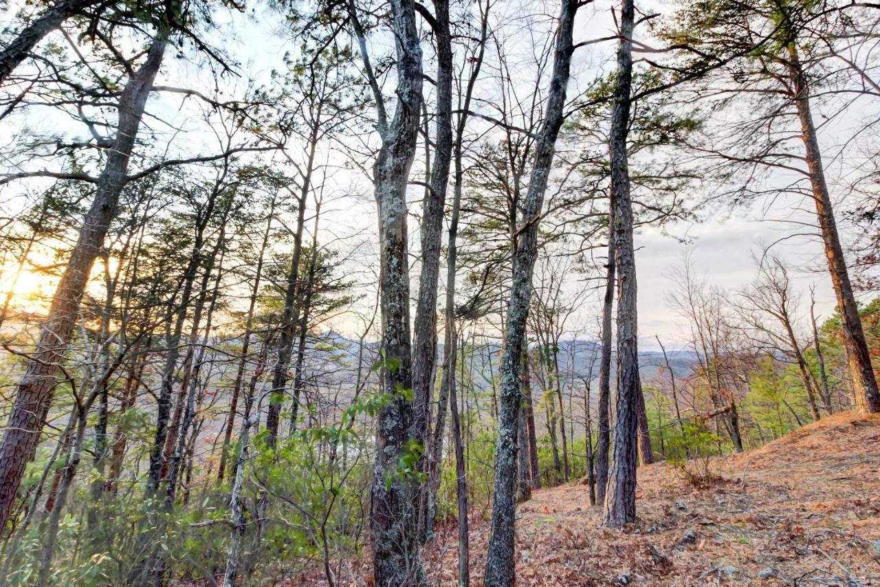 Hatchertown Misty View Cabin מראה חיצוני תמונה